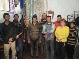 В полиции рассказали подробности работы рабовладельческой фермы под Одессой, где содержали почти сотню рабов
