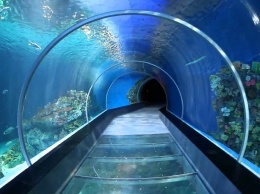 В Китае открыли самый глубокий в стране тоннель метро, проходящий под водой