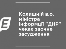 Бывшую и. о. министра информции "ДНР" ждет заочное осуждение