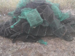 В Криворожском районе браконьеры выловили 50 кг раков