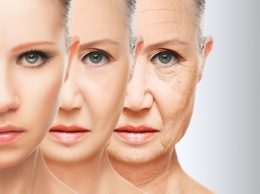 Найдены многообещающие соединения против старения
