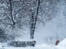 Настоящая зима атакует Украину: новый прогноз погоды до конца недели