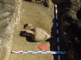 Археологи рассказали об уникальных находках на раскопках при строительстве Крымского моста
