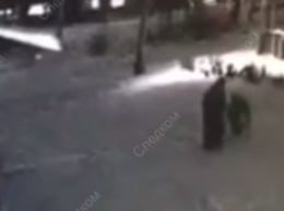 Видео дня: под Красноярском 10-летняя каратистка отбилась от насильника