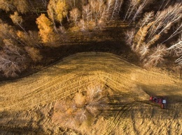Российские ученые работают над улучшением средства защиты урожая зерна