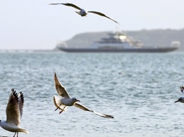 Связанные морем: между Крымом и Абхазией хотят запустить паромы и катера