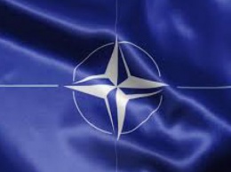 США хотят видеть Украину полноценным членом НАТО