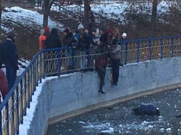 В парке на Отрадном ребенок провалился под лед (фото)