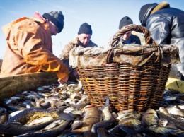 Законодательство не определят, каким должен быть рыбоприемный пункт