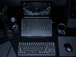 Универсальная клавиатура Razer BlackWidow Lite стоит $90
