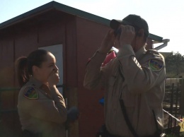 Коллеги подарили шерифу с дальтонизмом специальные очки. Он увидел настоящие цвета первый раз в жизни