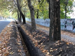 Сенкевич просит тротуары, перекопанные облэнерго, восстановить в плитке, а не в асфальте