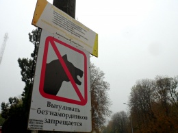 В Одессе владельцы собак массово нарушают правила выгула животных, а на замечания - хамят