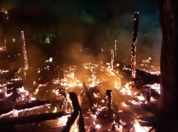 Тушили пять часов: под Харьковом - масштабный пожар на базе отдыха