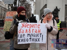 Под Верховной Радой митингуют зоозащитники