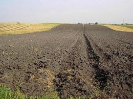 На Николаевщине суд отобрал у фермеров полученную в наследство землю