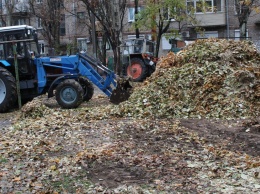 Из запорожских дворов вывозят тонны опавших листьев