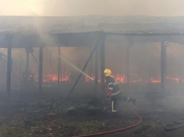 На Закарпатье произошел крупный пожар на складе