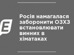 Россия пыталась запретить ОЗХО устанавливать виновных в химатаках