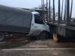 Под Киевом автомобиль влетел в лесовоз: образовалась пробка (видео)