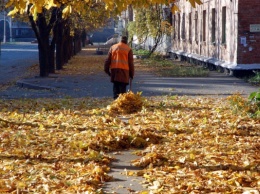 В районах города Николаева будут убирать листву, когда появятся деньги