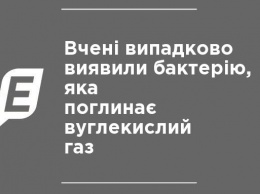 Ученые случайно обнаружили бактерию, поглощающую углекислый газ