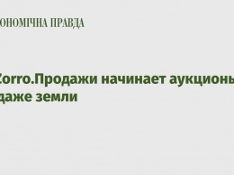 ProZorro.Продажи начинает аукционы по продаже земли