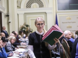 Ученые и финансисты доработают ''Новый экономический курс'' Тимошенко в части монетарной политики