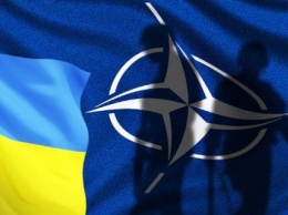 Конституционный суд признал законным интеграцию страны в Евросоюз и НАТО