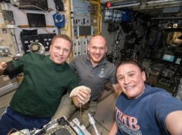 Космонавты отметят День благодарения на борту МКС