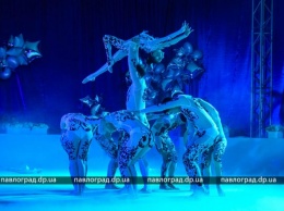 В Павлограде Академия художественной гимнастики «PERSHA» заявила о себе грандиозным турниром (ФОТО и ВИДЕО)