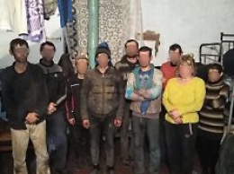 Пятеро уроженцев Николаевской области оказались фигурантами дела о рабовладельческой ферме
