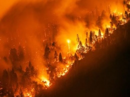 Уфологи: В объятой огнем Калифорнии виноваты пришельцы