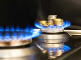 Синицин: Рыночные цены на газ - для лохов