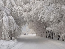 До 30 сантиметров снега: Украину накроет мощная стихия