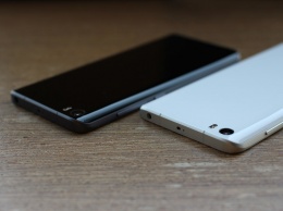 Флагманский смартфон Xiaomi Mi 9 показали с полукруглым вырезом экрана
