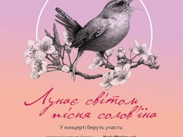 Гостей и жителей Херсона приглашают на концертную программу в художественный музей