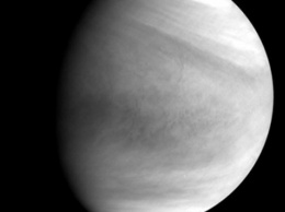Ученые заметили озон над полярными областями Венеры