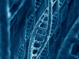 Ученые осудили заявление китайского исследователя об изменении ДНК эмбриона