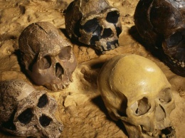Все люди на Земле - потомки двух предков. 100 000 лет назад наш род чуть не вымер