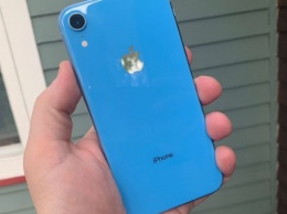 Apple выпустила отчет о продажах iPhone XR