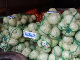 Депутаты отправили пять тонн овощей социально-незащищенным николаевцам