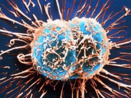 Ученые создали генномодифицированный вирус, убивающий рак