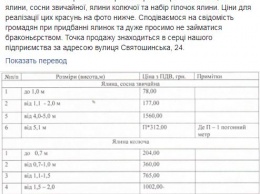 В Киеве начали продавать елки к Новому году по цене от 80 до 1500 грн