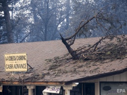 После лесных пожаров на Калифорнию обрушились проливные дожди