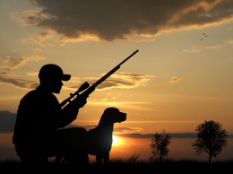В Сумской области запретят охоту из-за введения военного положения