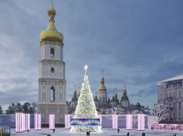 Известно сколько потратят на елку в Киеве