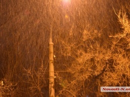 Николаев начало засыпать снегом. ВИДЕО