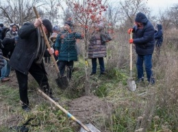В Запорожье высадили деревья на новой аллее врачей