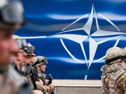 Вы не должны быть в НАТО: британский эксперт назвал главную проблему Украины